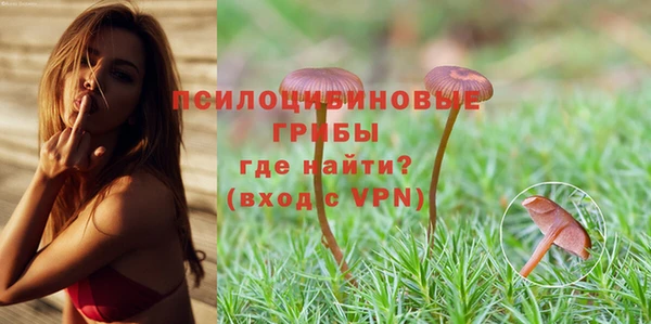 гашик Заволжье