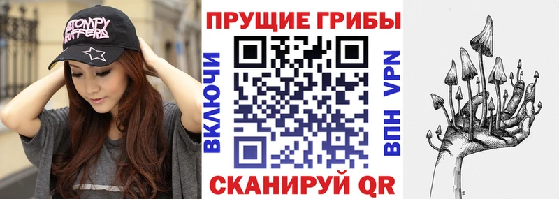 Псилоцибиновые грибы прущие грибы  Купить закладки  Верхний Уфалей 
